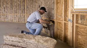 Best Insulation for Existing Homes  in Teays Valley, WV